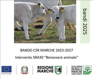 Immagine di copertina per SRA30 �Benessere animale� del Complemento Regionale per lo Sviluppo Rurale 2023 � 2027 della Regione Marche
